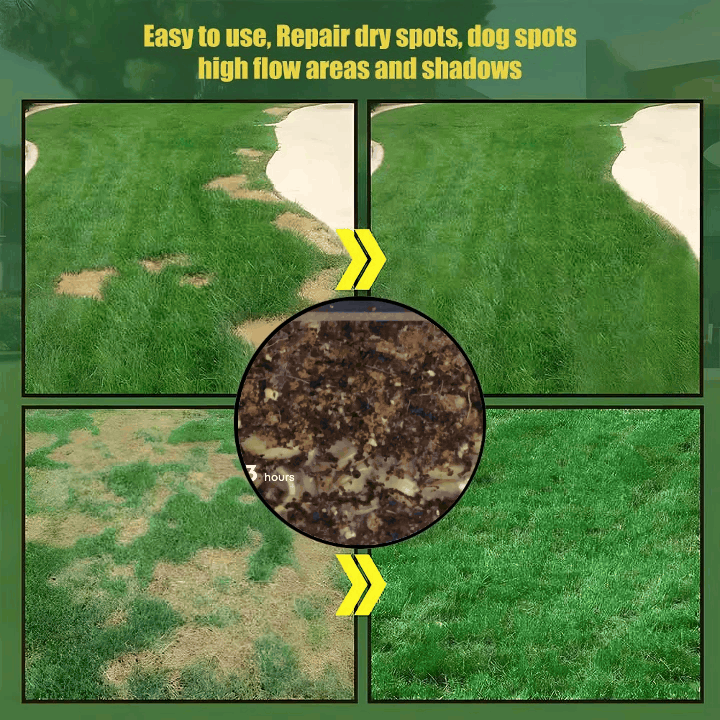 🔥Last Day 70% OFF🌱Hydro Seeding Lawn Solution