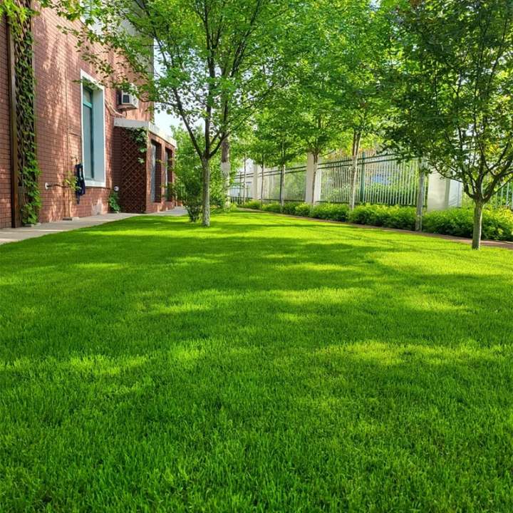🔥Last Day 70% OFF🌱Hydro Seeding Lawn Solution