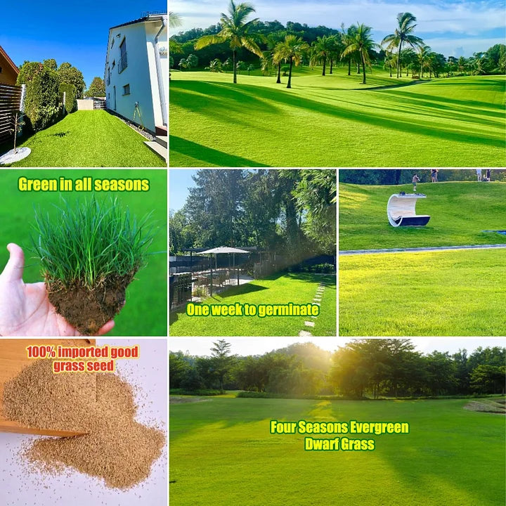 🔥Last Day 70% OFF🌱Hydro Seeding Lawn Solution
